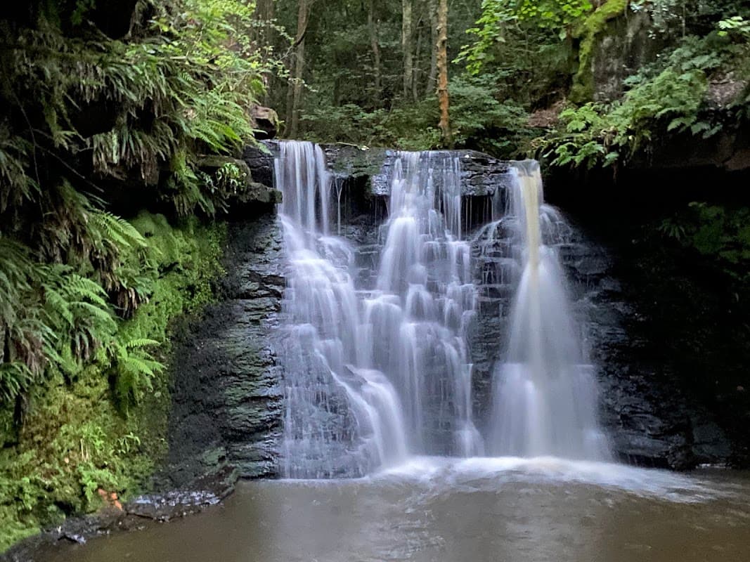 Water cascading over rocky ledges into a tranquil pool, surrounded by lush greenery and trees.