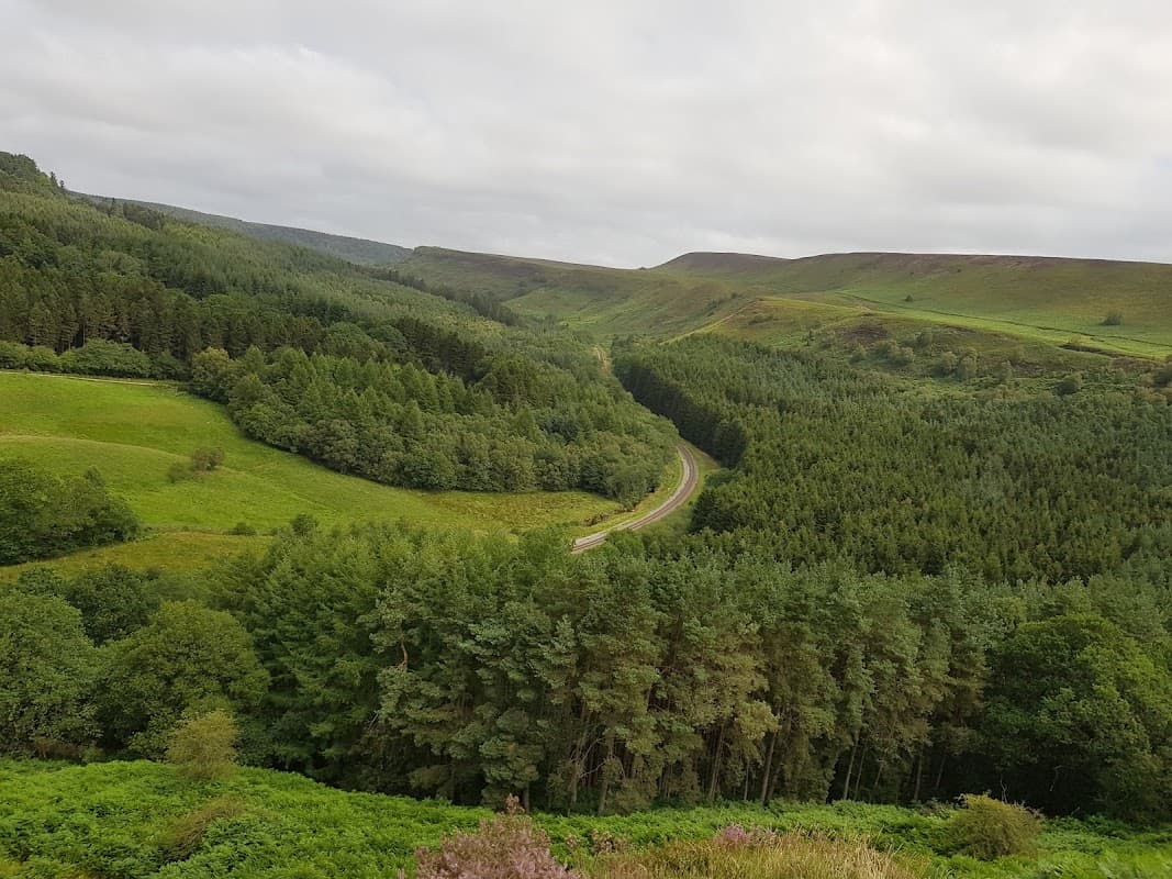 North Riding Forest Park - Park in dalby forest