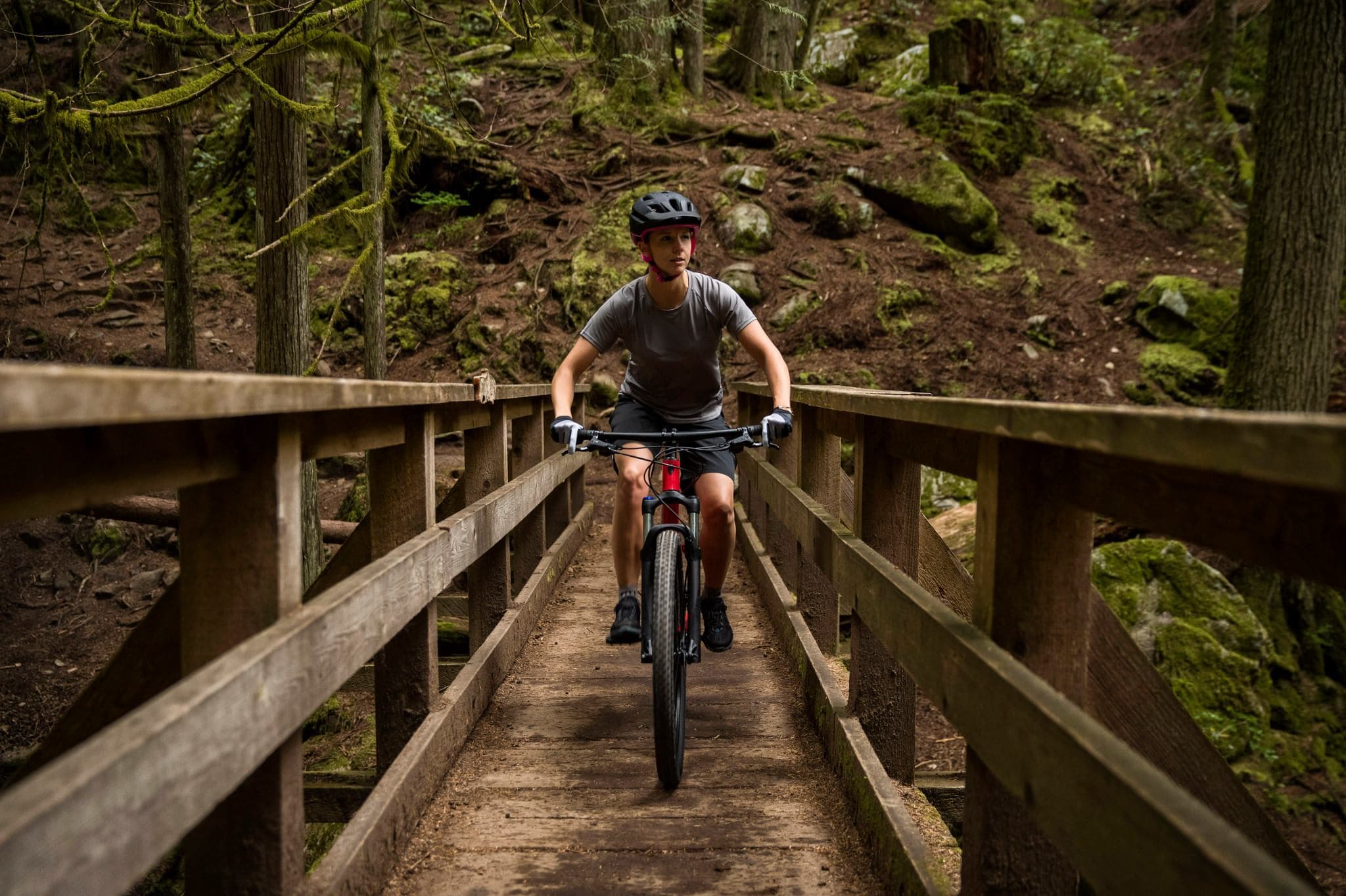 Dalby Forest Cycle Hub - Bike Hire in dalby forest