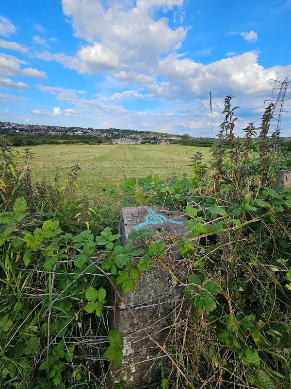 Northorpe Trig Pillar - Historic Site in dewsbury