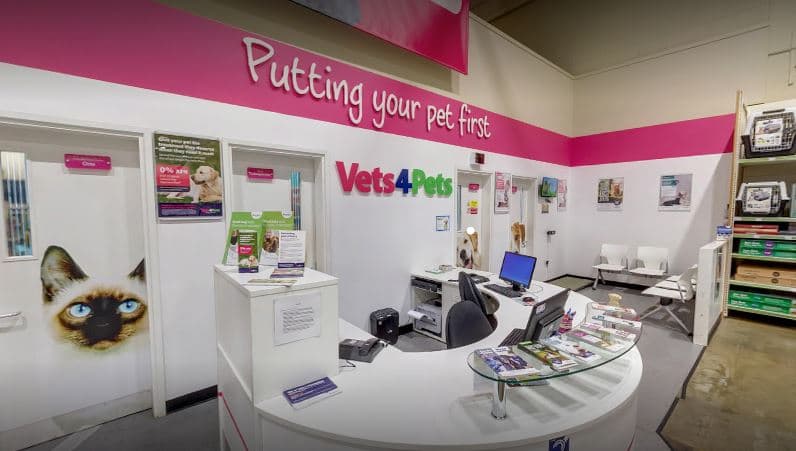 Vets4Pets - Dewsbury - Vets in dewsbury