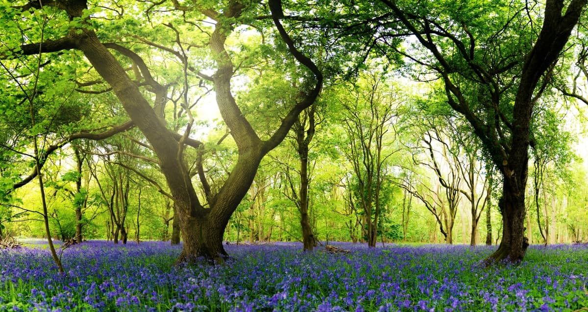 Drax Power Station - Attraction in drax north yorkshire