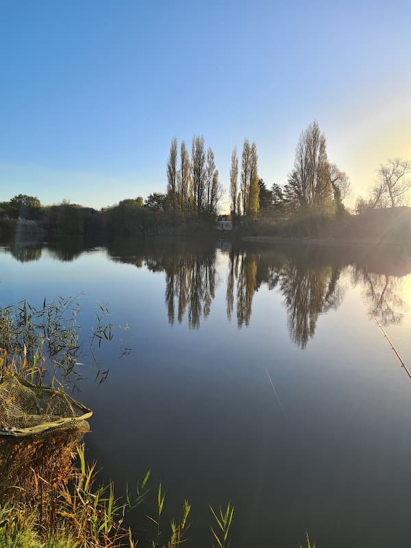 Serene pond reflecting trees under a clear blue sky, with reeds framing the foreground in East Cowick, Yorkshire.