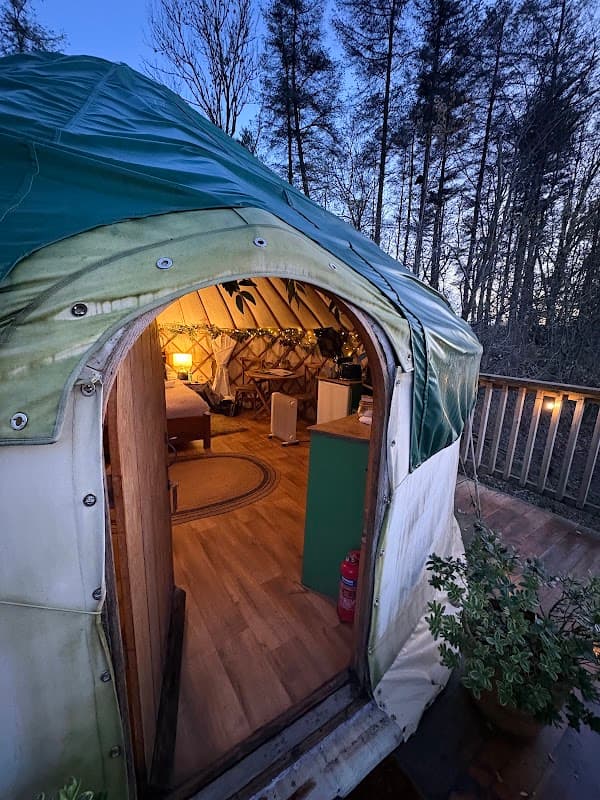Cozy yurt entrance with wooden deck, warm light inside, surrounded by trees at dusk in Eavestone, Yorkshire.