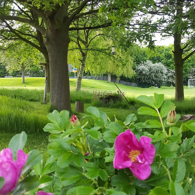Eckington Camms Endowed C Of E Primary School - Primary Schools in eckington