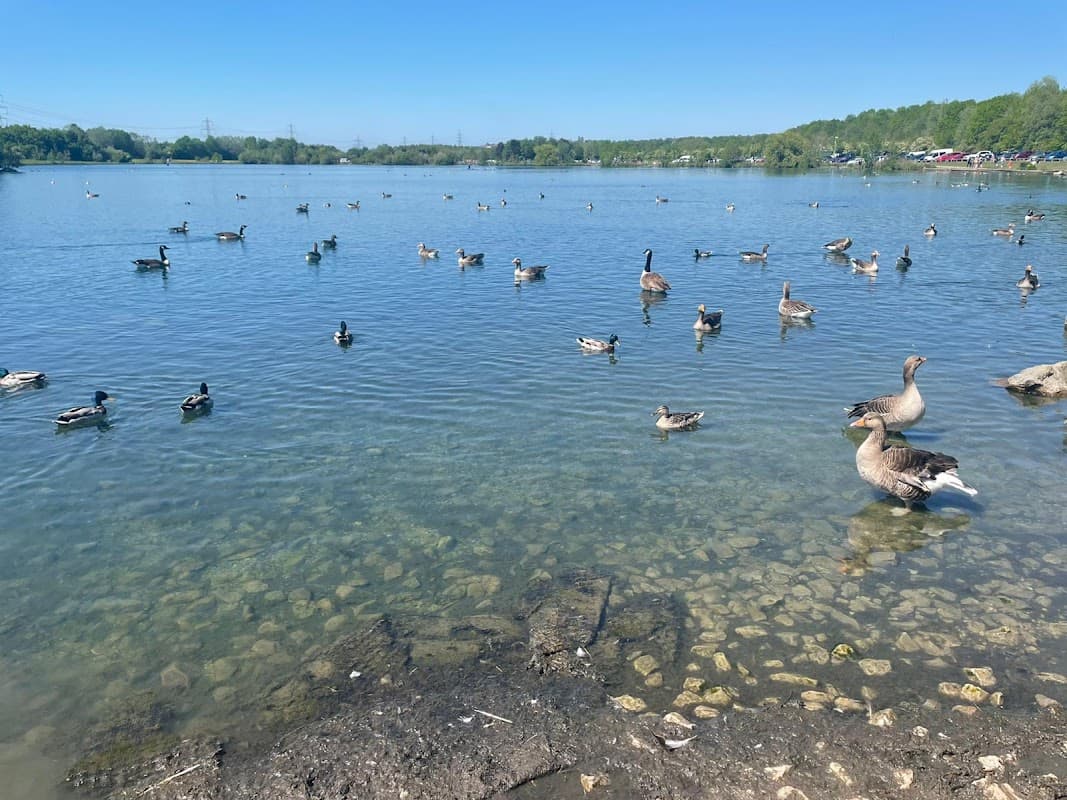 Firbeck Sailing Club - Sailing Clubs in eckington