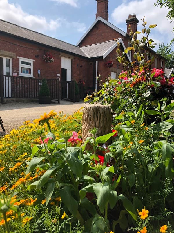 Colorful flowers in bloom with a tree stump in the foreground and a brick building in the background under a blue sky.