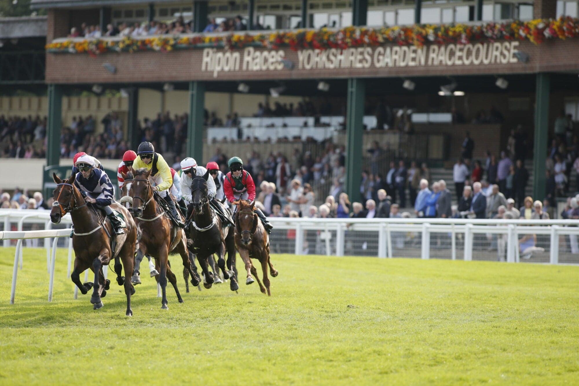 Event image for Ripon Racecourse