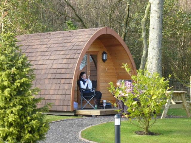 Falcon Forest Glamping - Glamping in staintondale