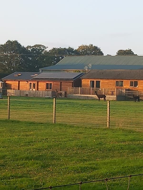 Wooden buildings with a green lawn, fenced area, and horses grazing in the background at Egremont Pines, Fangfoss.