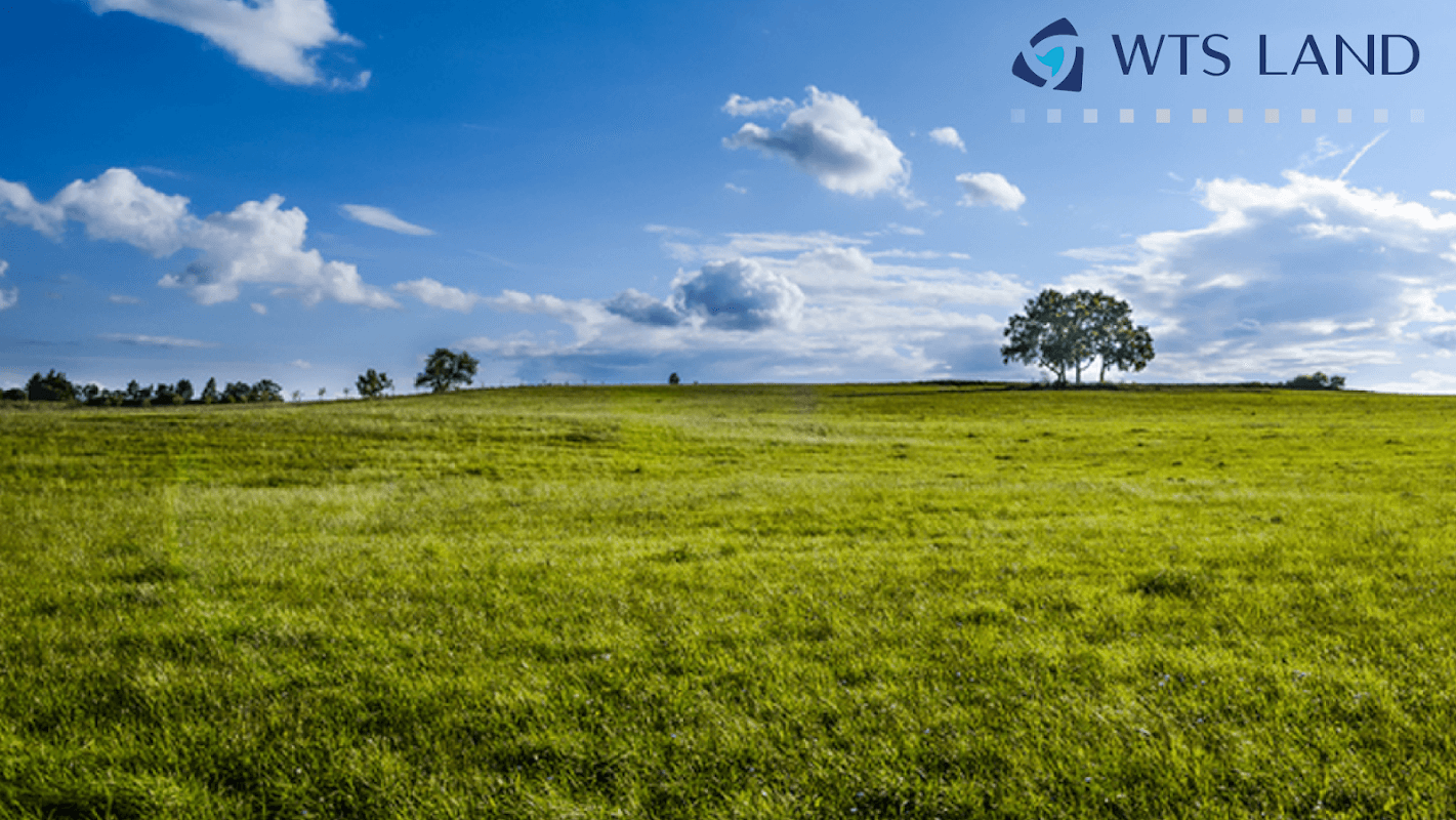 WTS Land - Estate Agents in farsley