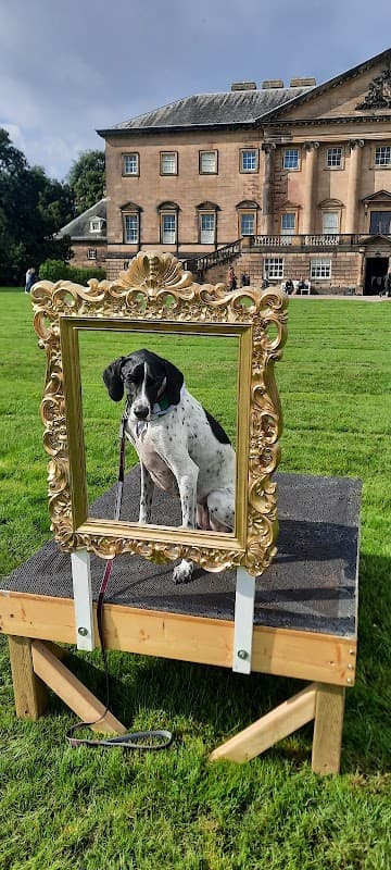 Accommodation at Nostell Priory Holiday Park in featherstone