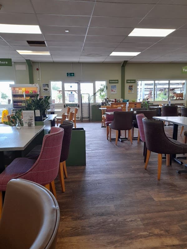 Cafe Notcutts Cafe in featherstone