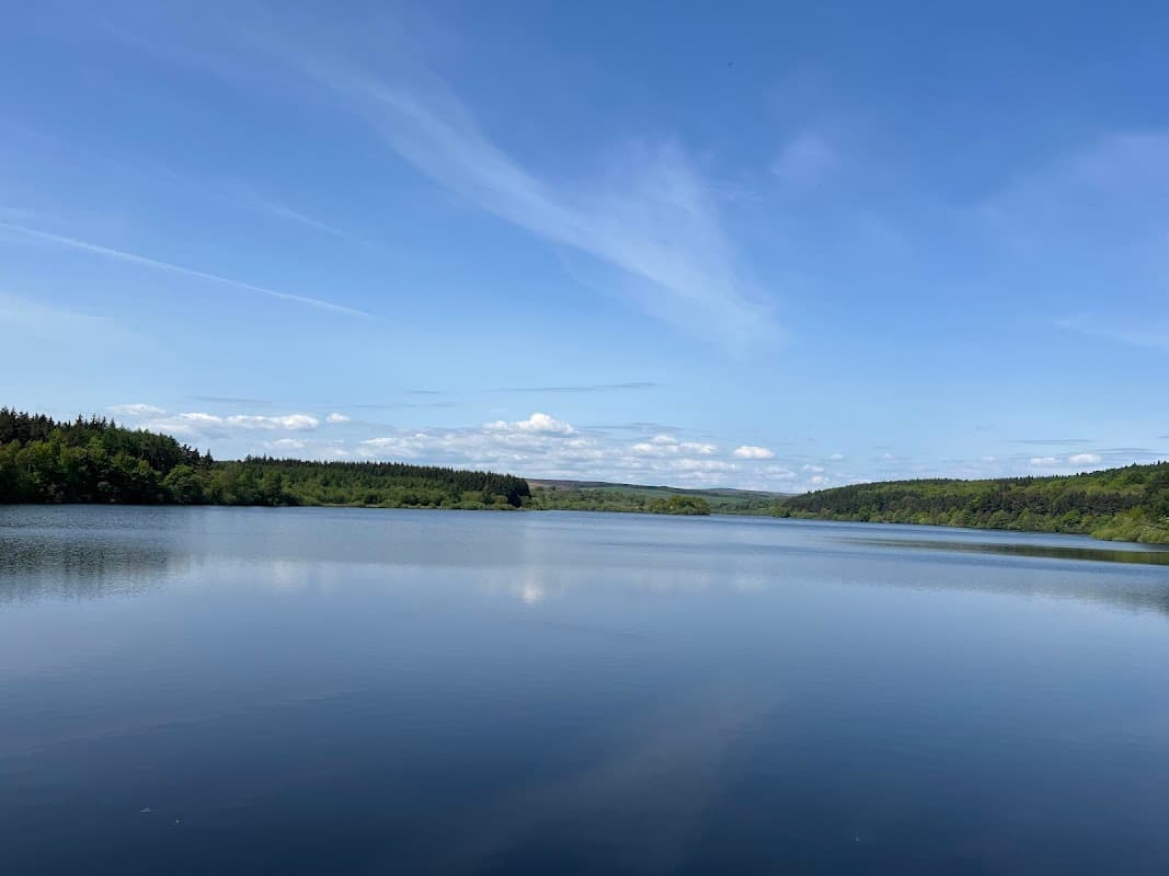 Calm reservoir reflecting blue sky and clouds, surrounded by lush green trees in Fewston, Yorkshire.