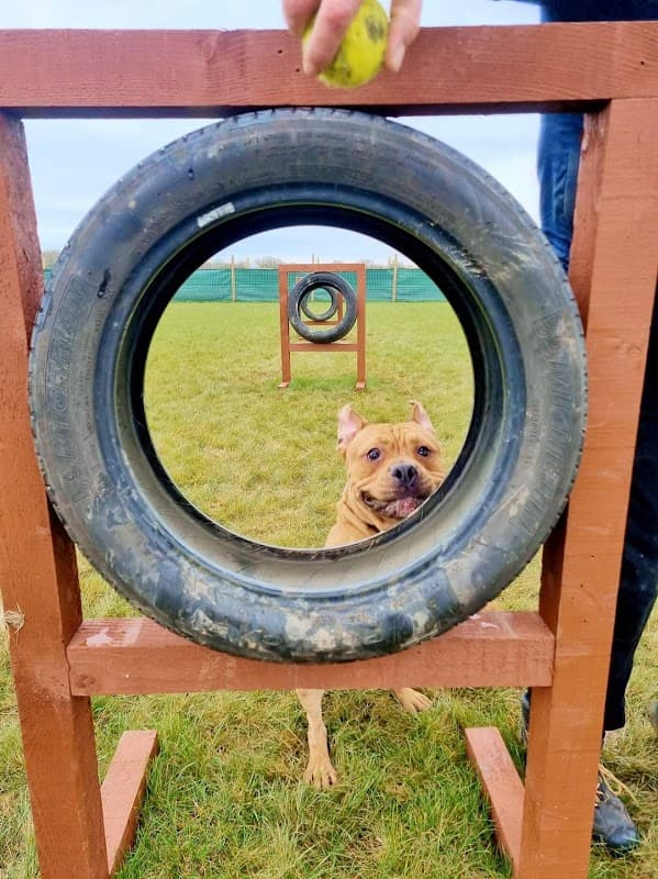 Filey Dog Field - Park in filey