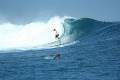 Fluid Concept Surf Shop & Surf School - Shop in spa bridge