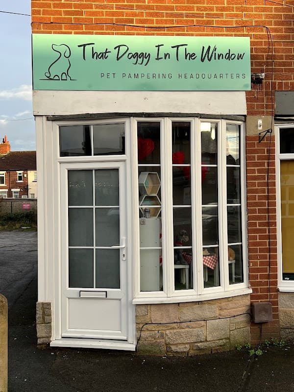 That Doggy In The Window - Pet Shops in garforth