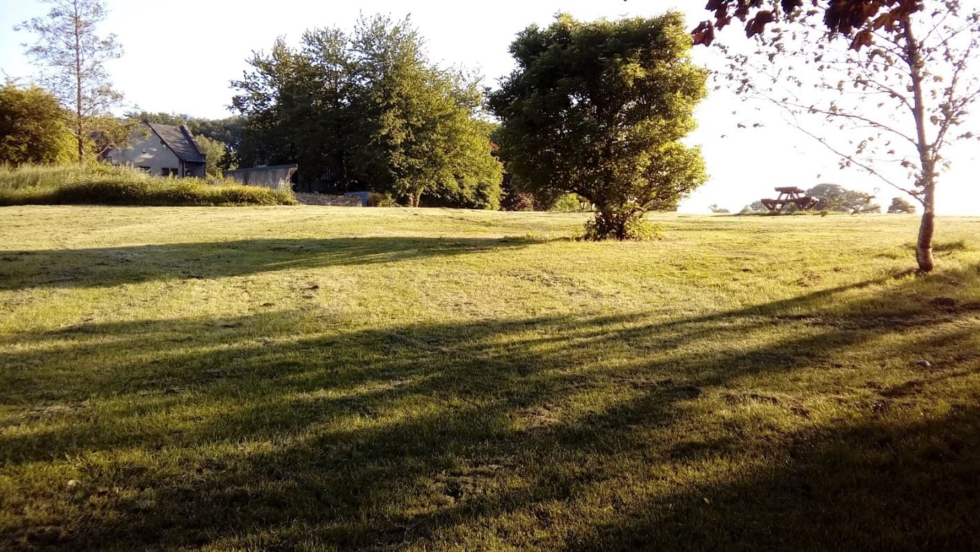 Lush green lawn with trees and shadows, featuring a distant building and a picnic area in the background.