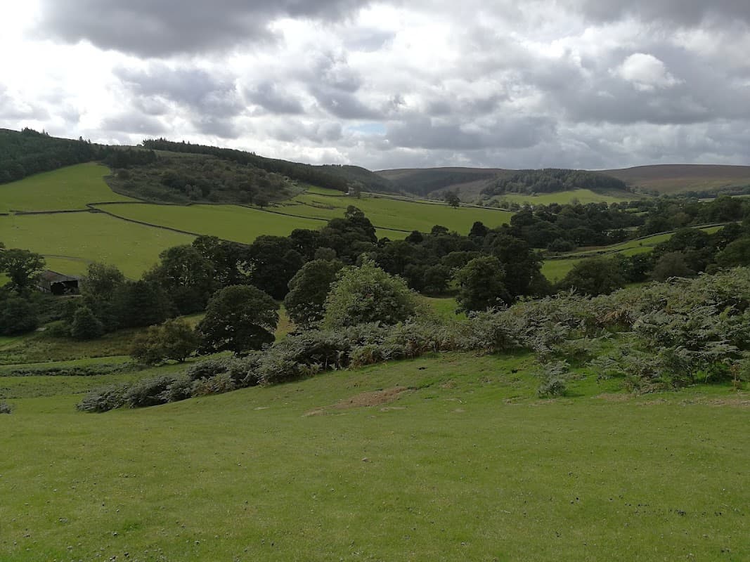 Lush green hills and valleys under a cloudy sky in Glaisdale, Yorkshire, with scattered trees and stone walls.