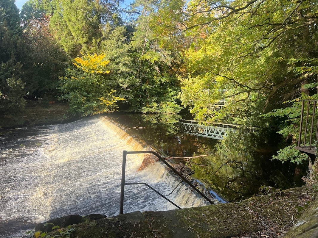 Tranquil scene of a waterfall flowing into a river, surrounded by lush greenery and autumn foliage.