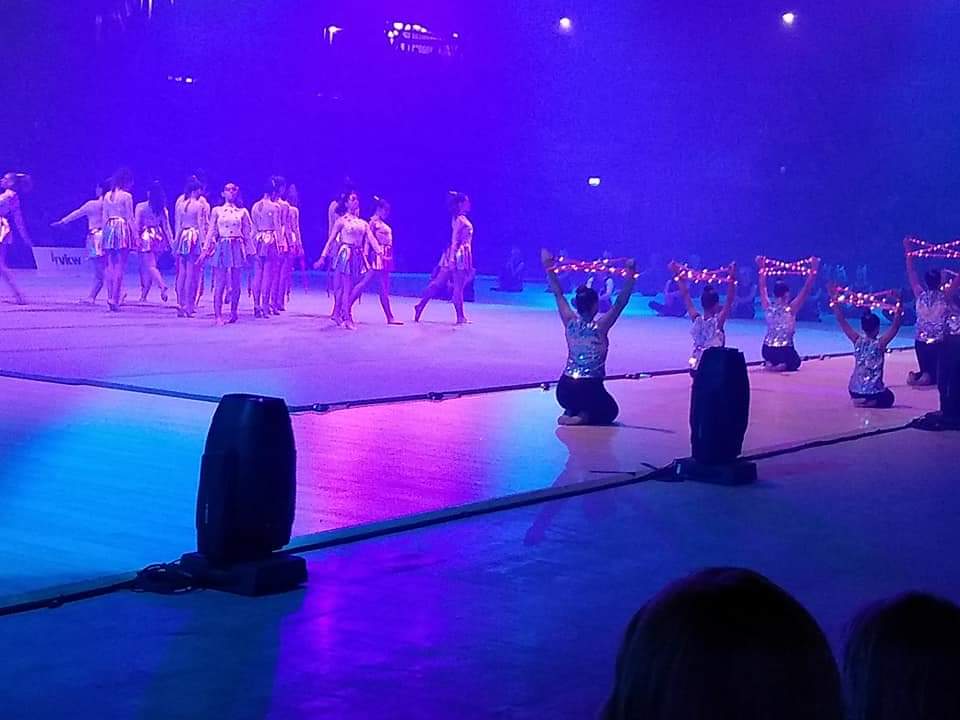 Goole Gymnastics Club - Gyms in goole