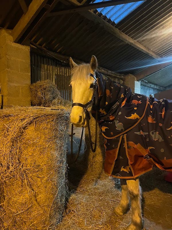 Equine Elite - Launderettes in great driffield