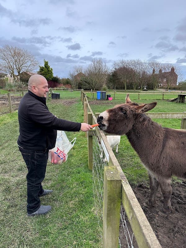 A man feeding a donkey with a carrot at Clapham Holme Farm, surrounded by green fields and cloudy skies.