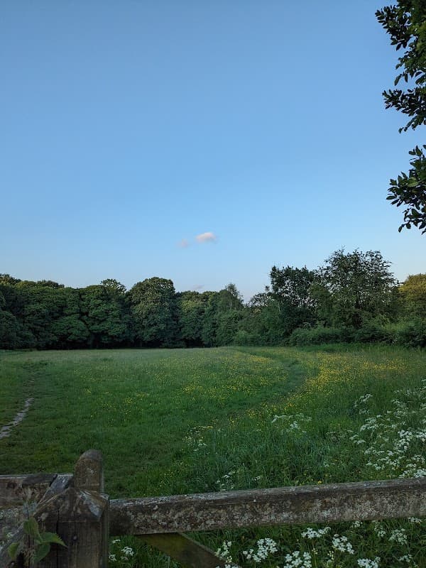 Beauchief Drive Open Space - Park in greenhill