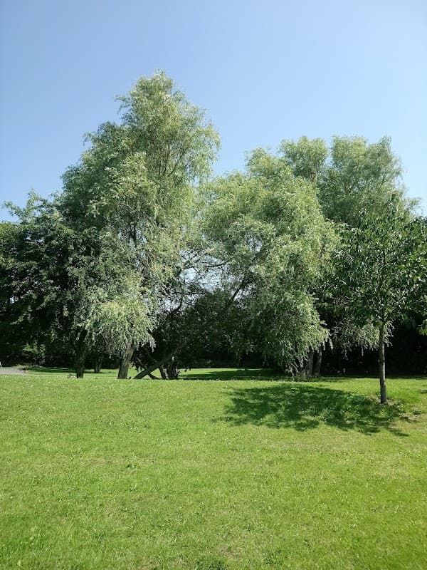 Chancet Wood Playground - Playgrounds in greenhill
