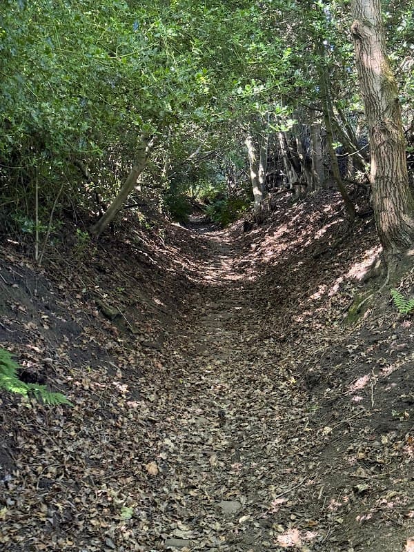 Magna Via • Ancient way - Historic Site in halifax