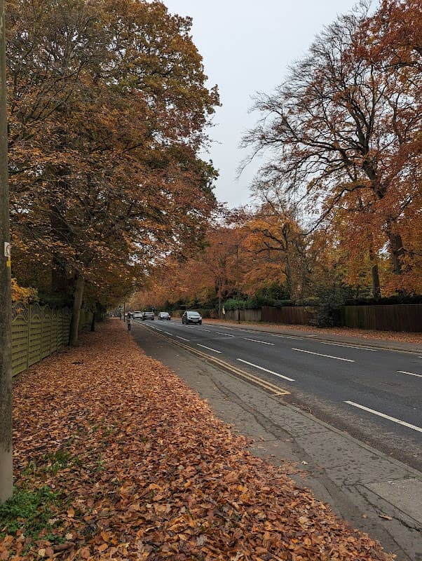 Bus Stop at Harrogate - Bus Stops in harrogate