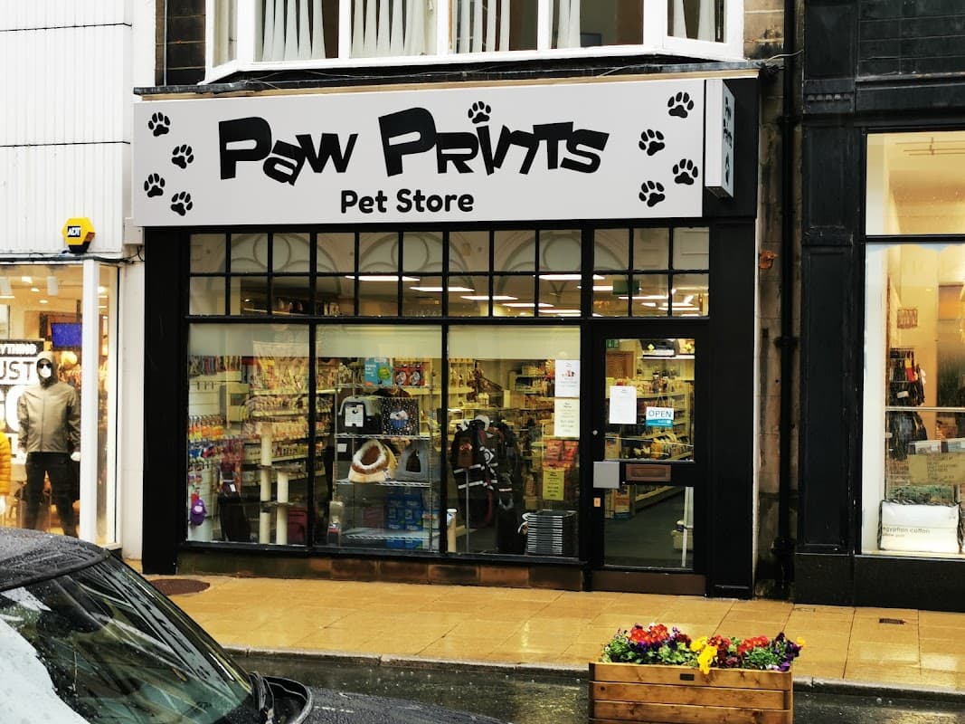 Paw Prints Pet Store storefront with paw print designs, showcasing pet supplies and colorful displays.