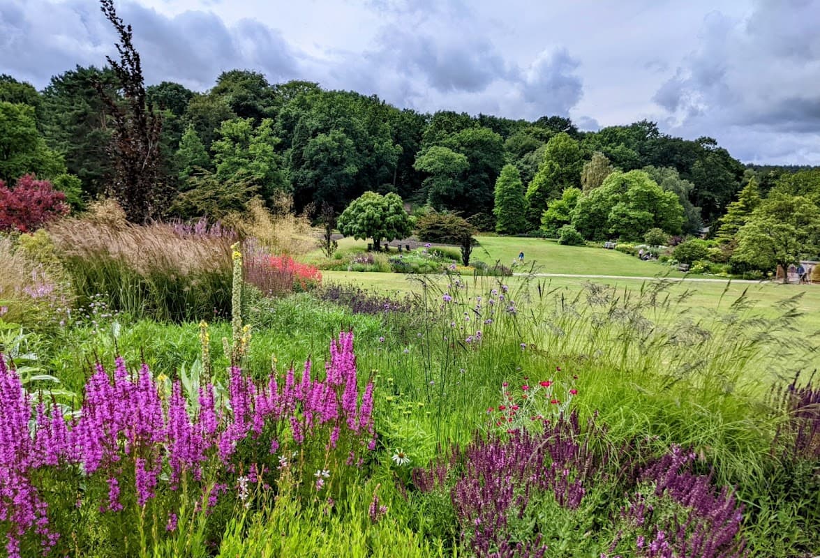 RHS Garden Harlow Carr - Garden in harrogate