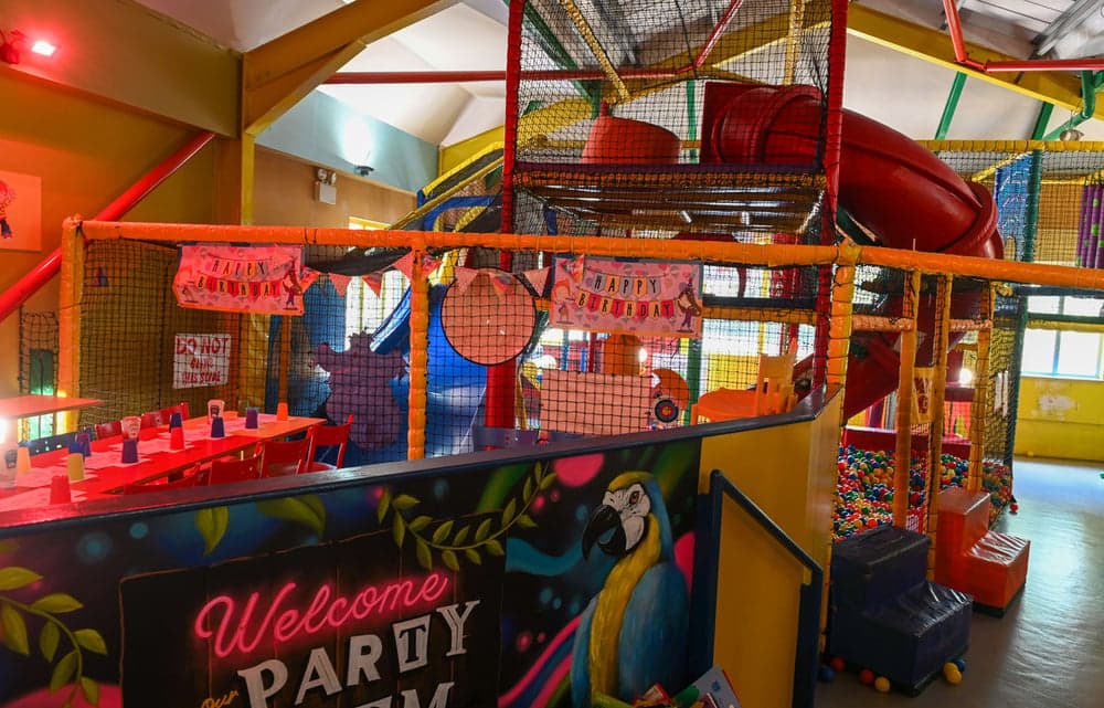 Squinting Cat Wacky Warehouse - Entertainment in harrogate