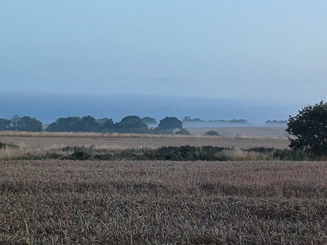 Mist-covered fields with distant trees under a soft blue sky at dawn in Havercroft, Yorkshire.