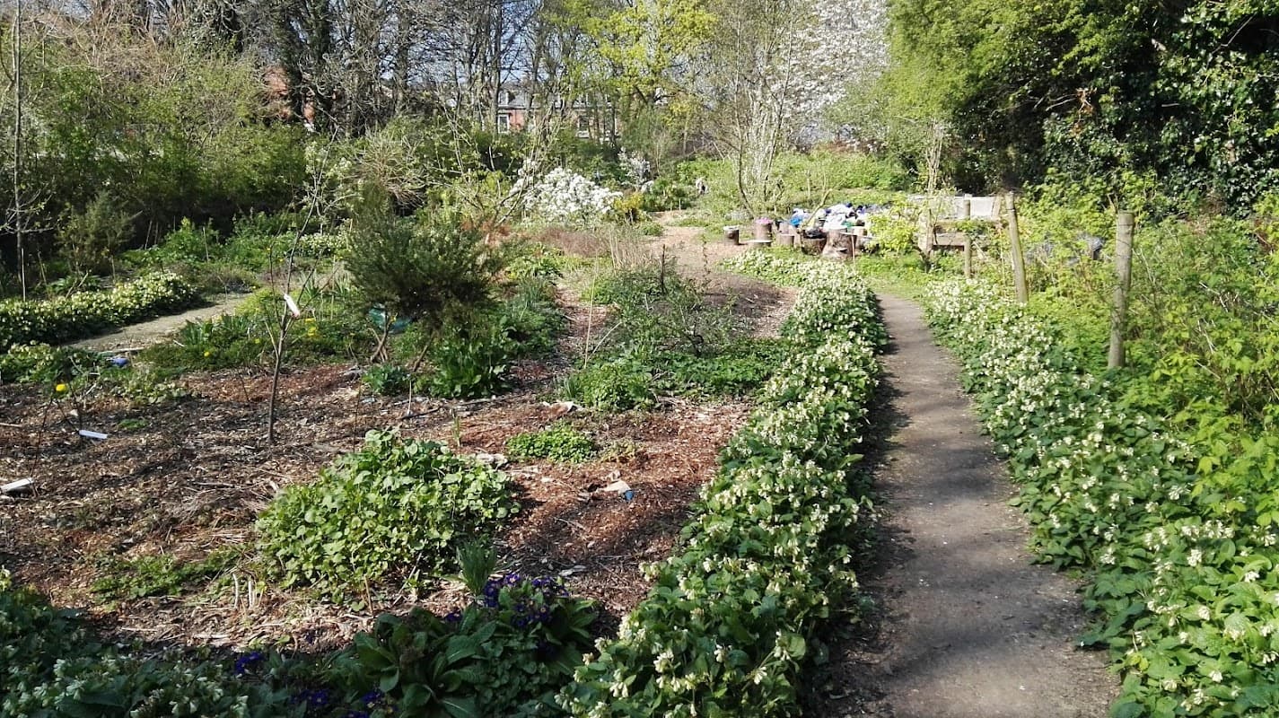 Bedford Fields Community Forest Garden - Community Centres in headingley