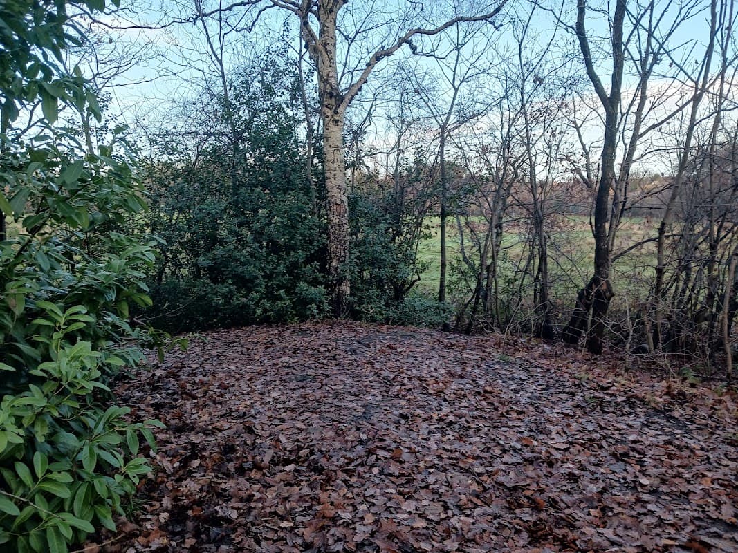 Carr Manor mound - Historic Site in headingley