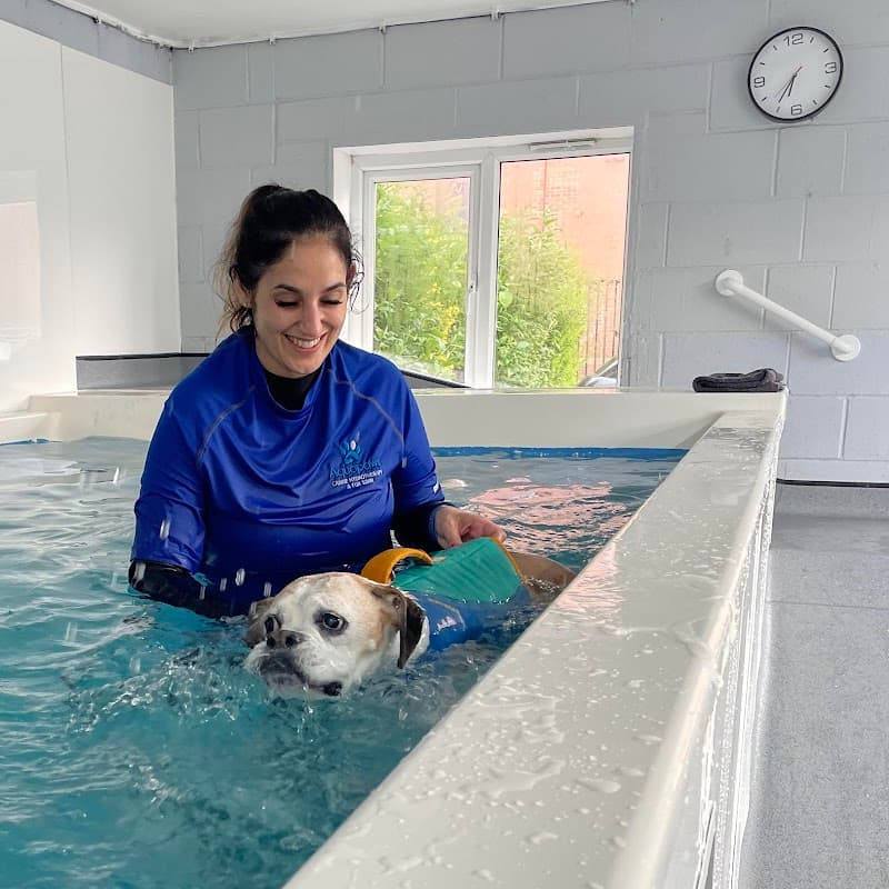 Aquapaws Sheffield Canine Hydrotherapy - Vets in heeley
