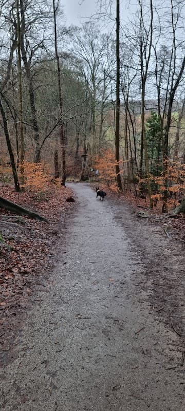 Graves Park Pitch and Putt Golf - Golf Course in heeley
