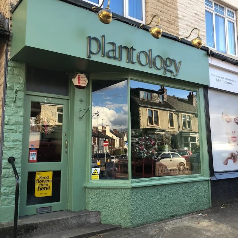 Plantology on the lane - Florists in heeley