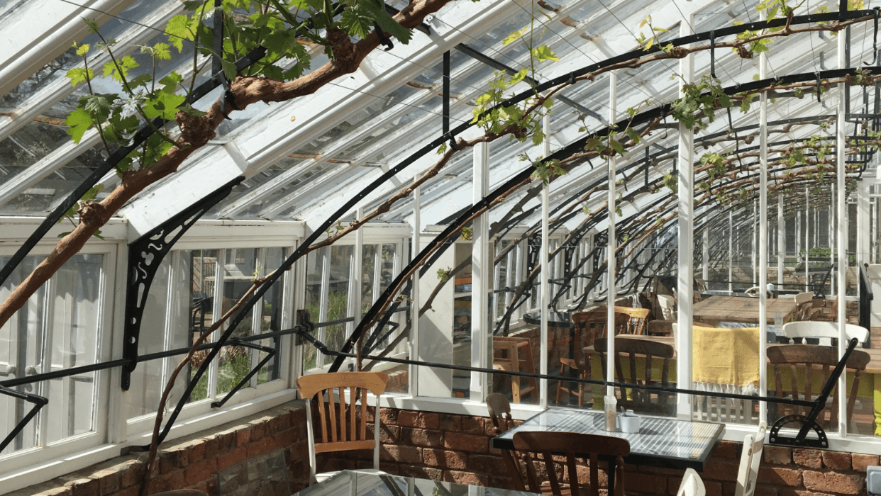 Cafe The Vinehouse Cafe at Helmsley walled Garden in helmsley