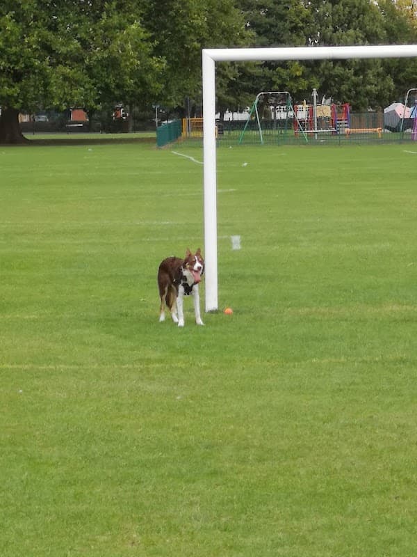 King George V Playing Field - Park in hessle