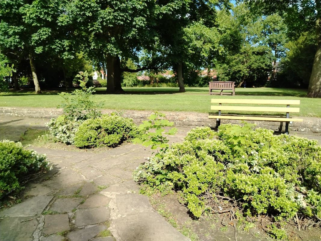 Lush greenery and shrubs surround a stone path, with a wooden bench in a sunlit park setting.