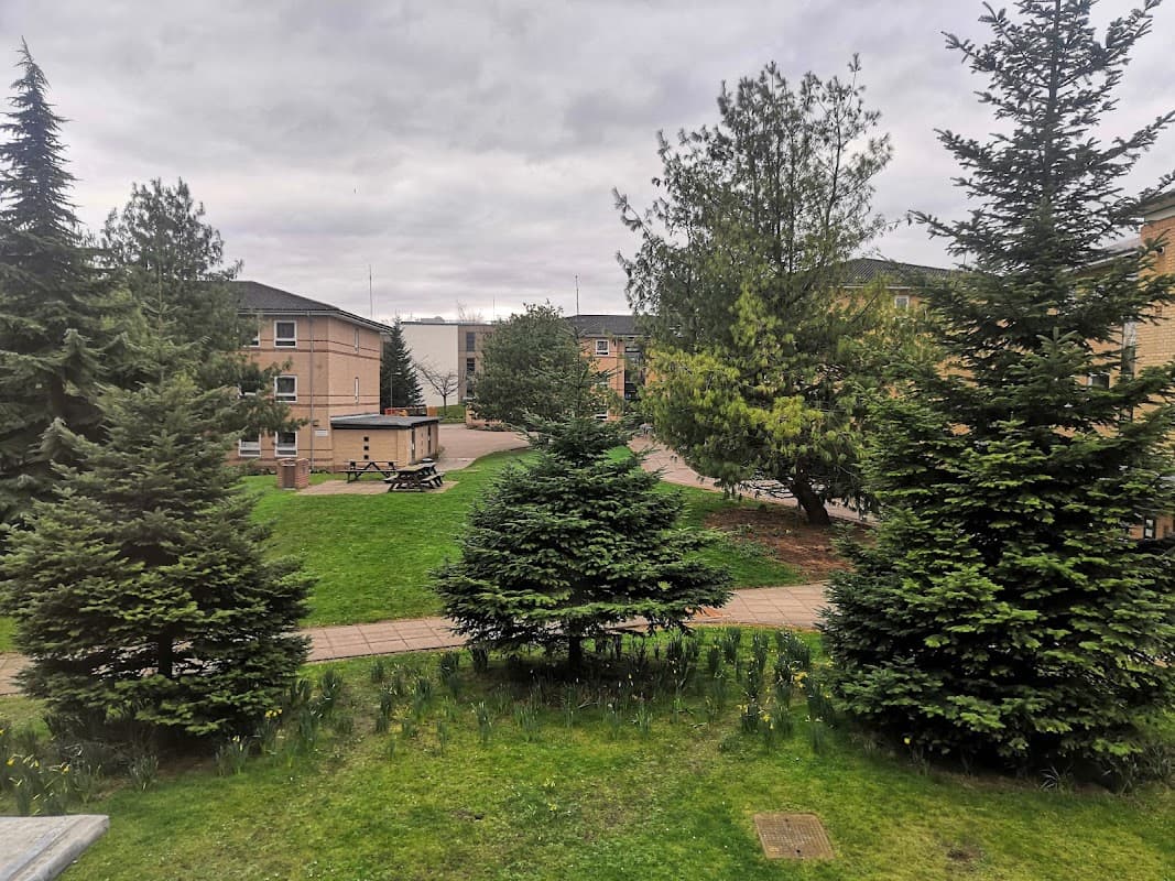 Alcuin College - Universities in heworth