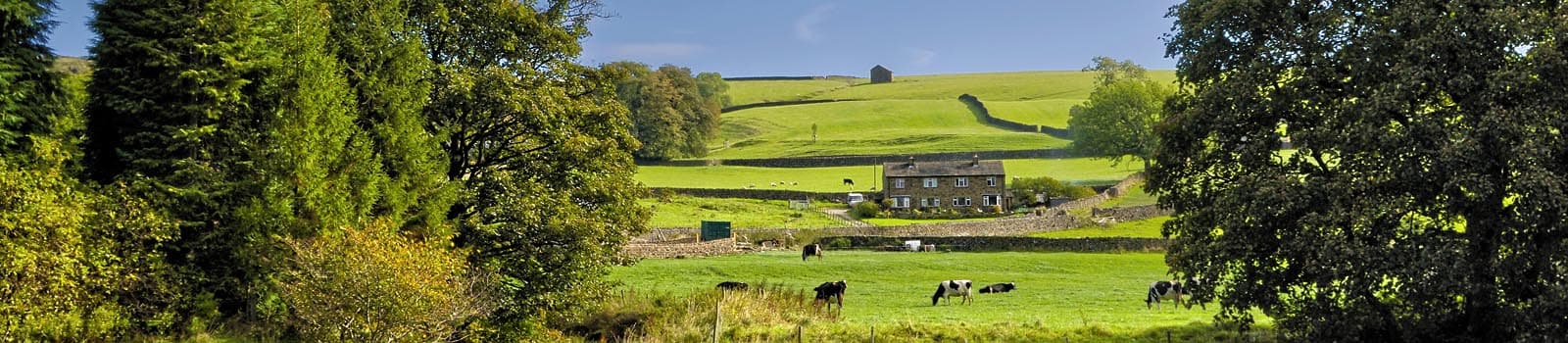 Garrington Property Finders - Yorkshire and North East - Estate Agents in hilton north yorkshire