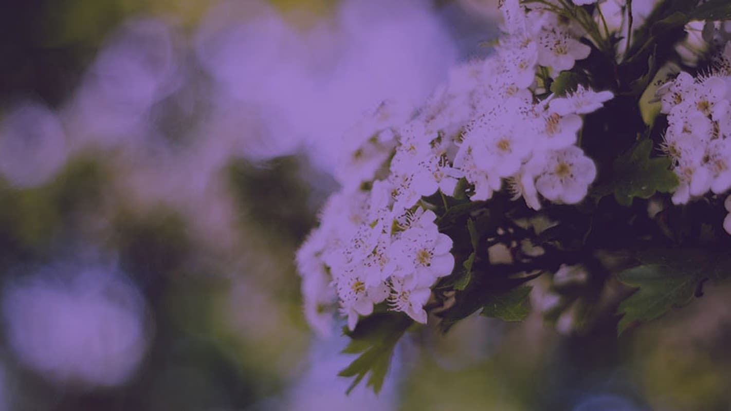 Harrogate Health & Beauty - Beauty Salons in hilton north yorkshire