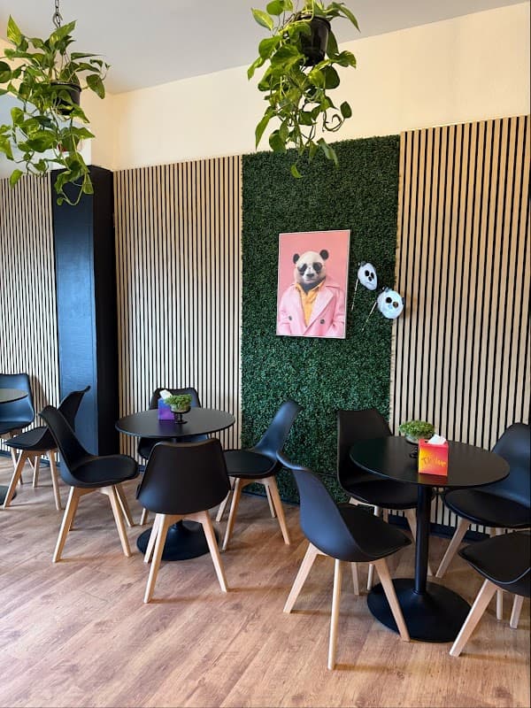 Dining at Sushi PANDA Harrogate in hilton north yorkshire