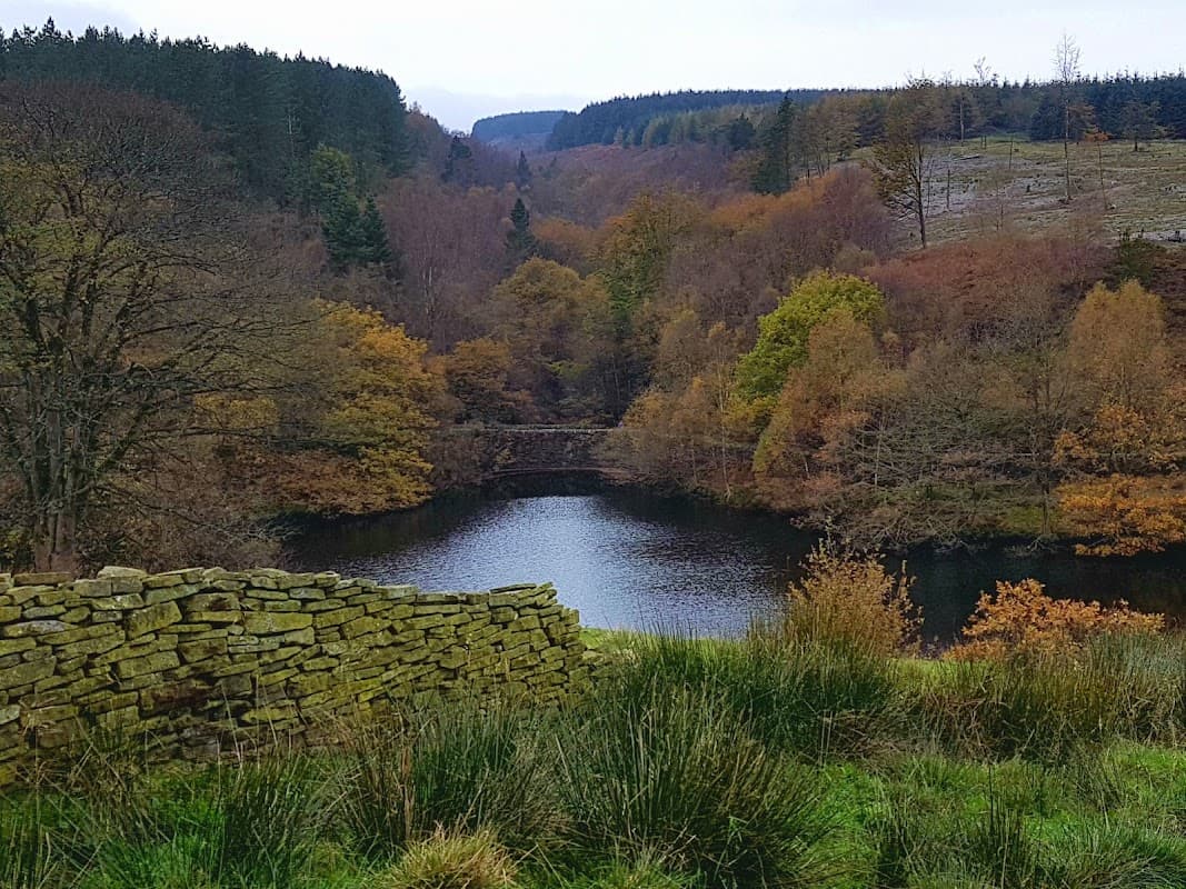 Lush green hills surround a tranquil reservoir, with autumn foliage reflecting in the water under a cloudy sky.