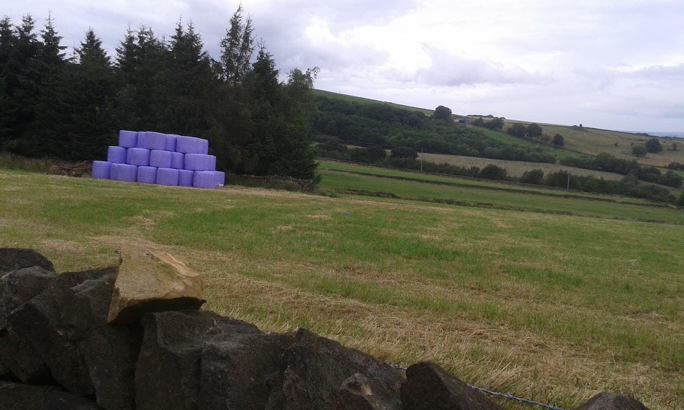 Wam Lettings - Estate Agents in holme valley