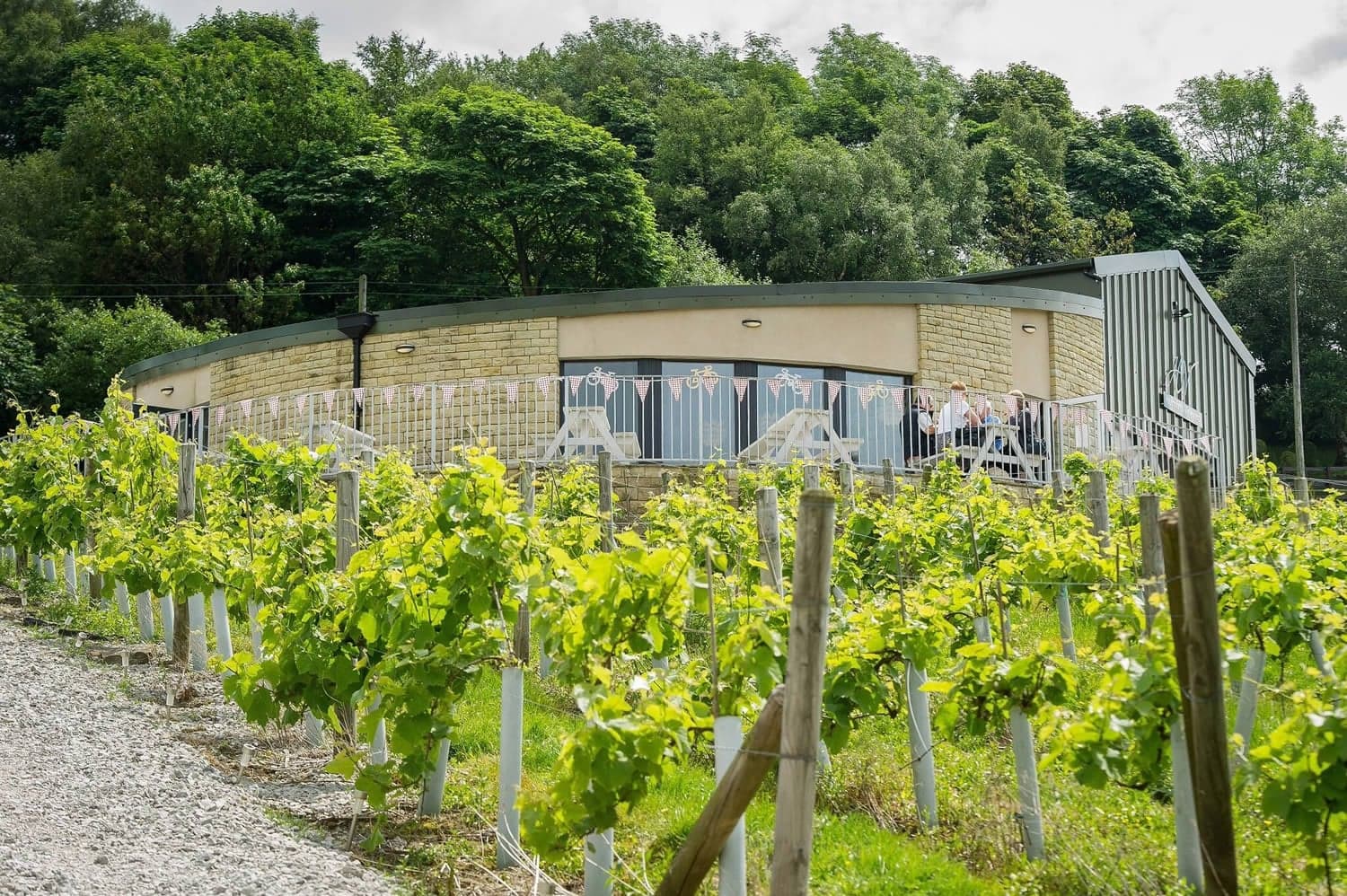 Holmfirth Vineyard - Vineyard in holmbridge